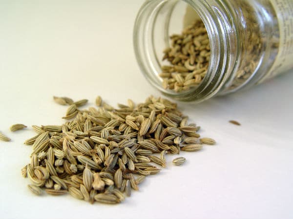 Fennel Seed in Breast Enhancement Pills