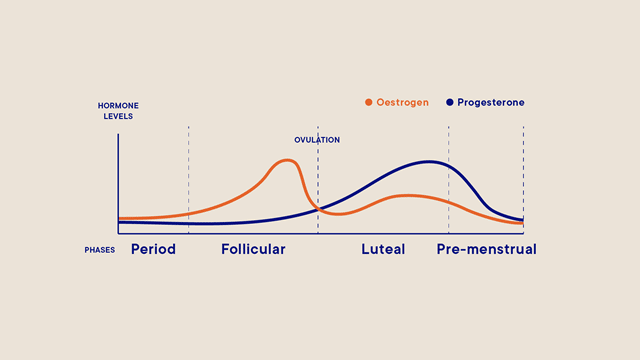 hormonal fluctuations during the menstrual cycle